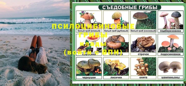 PSILOCYBIN Алексин