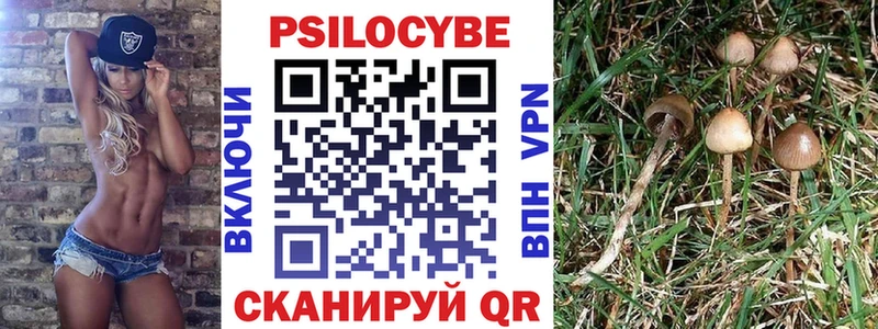 Псилоцибиновые грибы Psilocybe  купить закладку  Южно-Сухокумск 