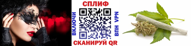 где купить наркоту  Южно-Сухокумск  Бошки марихуана индика 